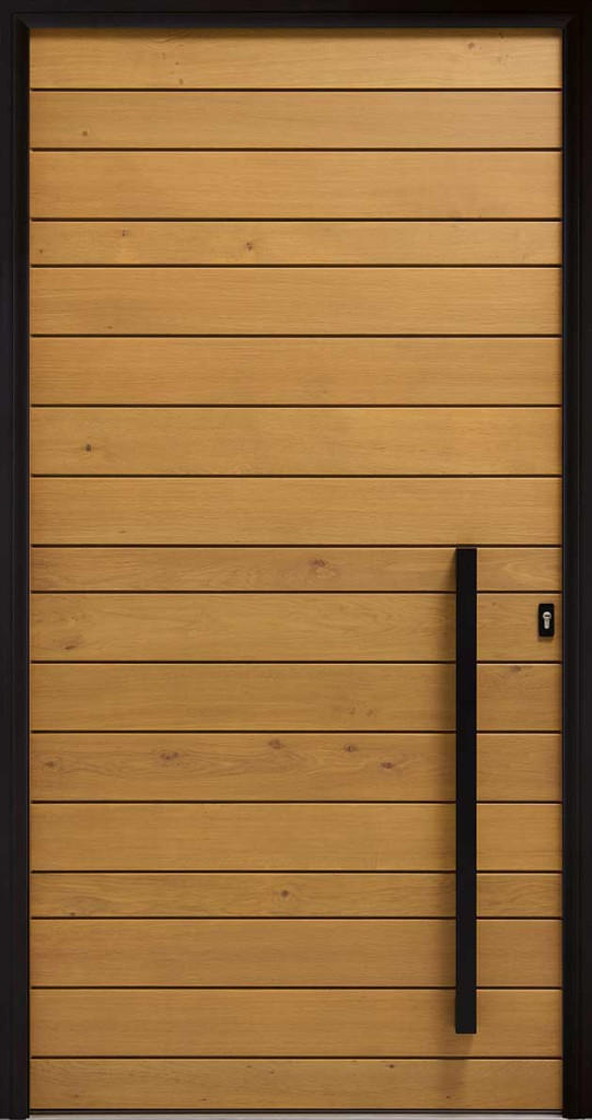 visuel unitaire de la porte d'entrée cyme evo